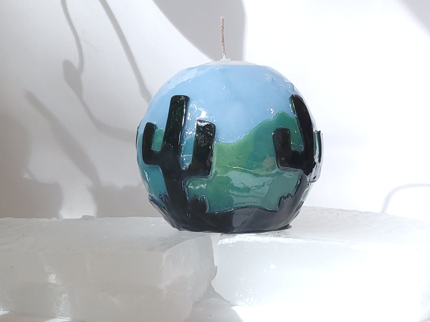 Cactus with Mountains in the Daytime