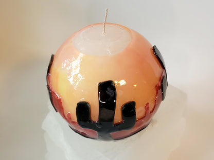 Cactus in the Desert and Red Cliffs